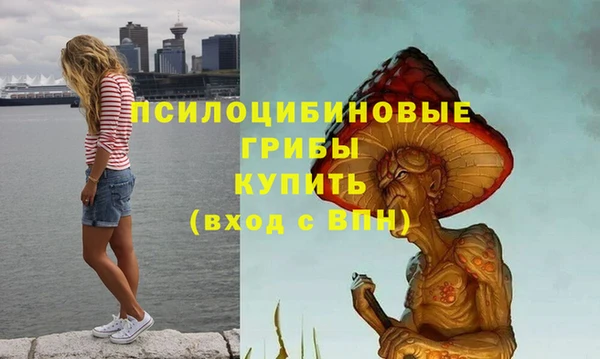 наркотики Белокуриха